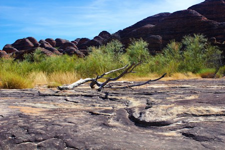 Desert, Nature, Outdoors, Plant, Rock, Scenery, The Bungle Bungles in NW of Western Australia. Digital painting of my photo, Tree, Wilderness, Wood